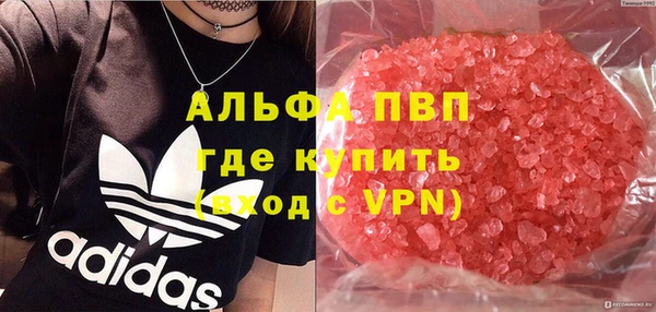 гашик Балахна