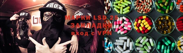 PSILOCYBIN Балабаново