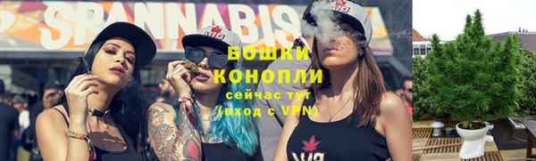 гашик Балахна